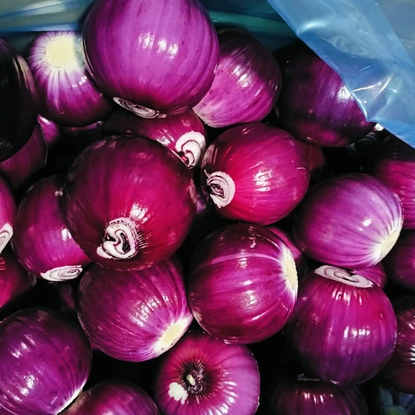 La trasformazione alimentare di Huaang guadagna quote di mercato con una qualità stabile