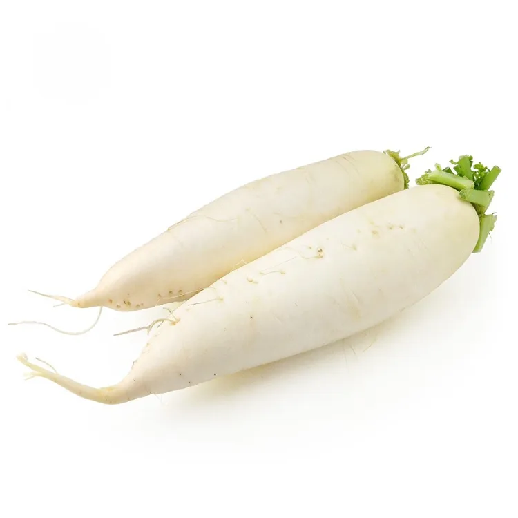 Ravanello Bianco Croccante