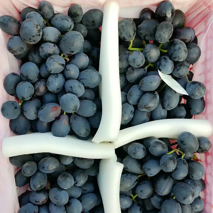 Uva Nera Appena Raccolta