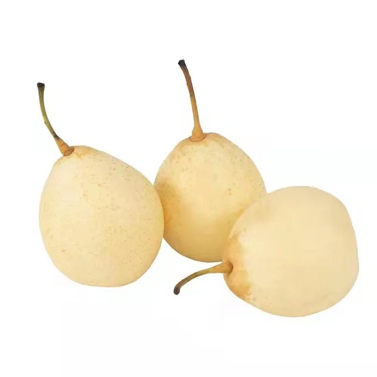 Pera Ya appena raccolta