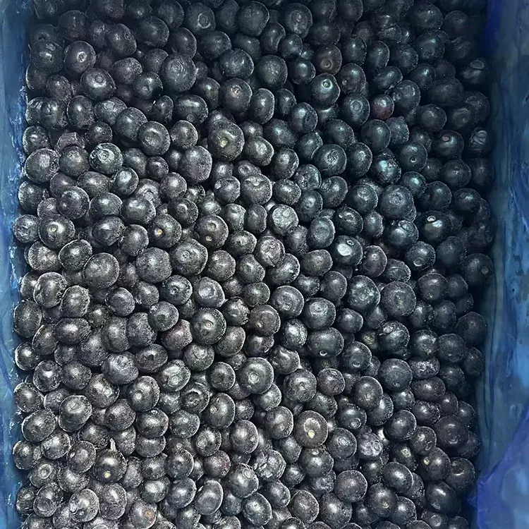 Mirtilli congelati Premium IQF
