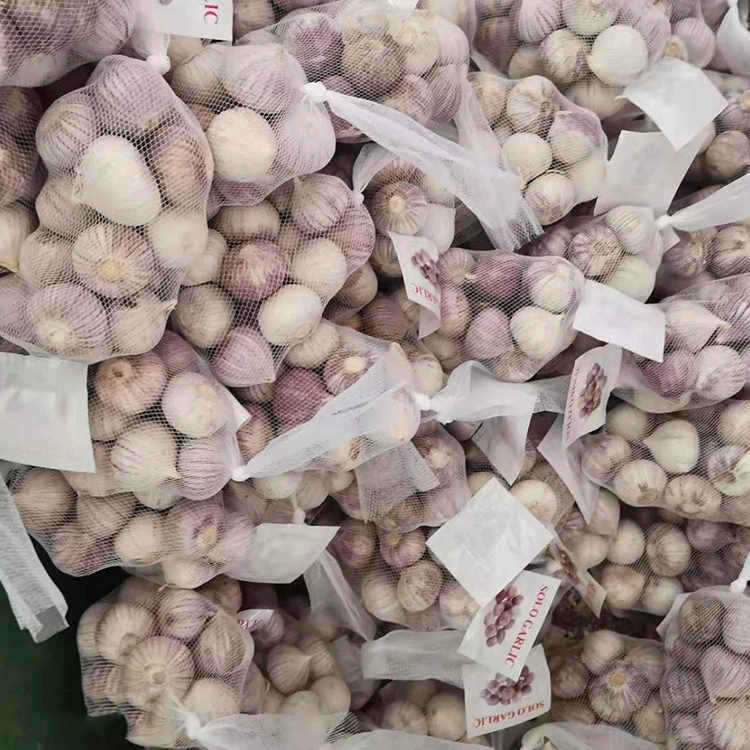 Aglio singolo di alta qualità