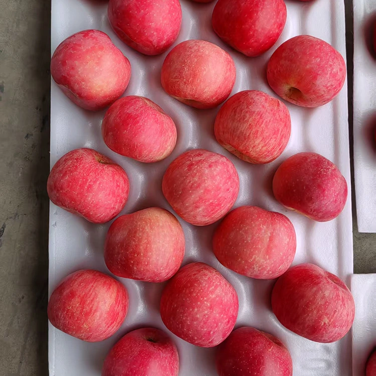 Mele Fuji fresche di prima qualità