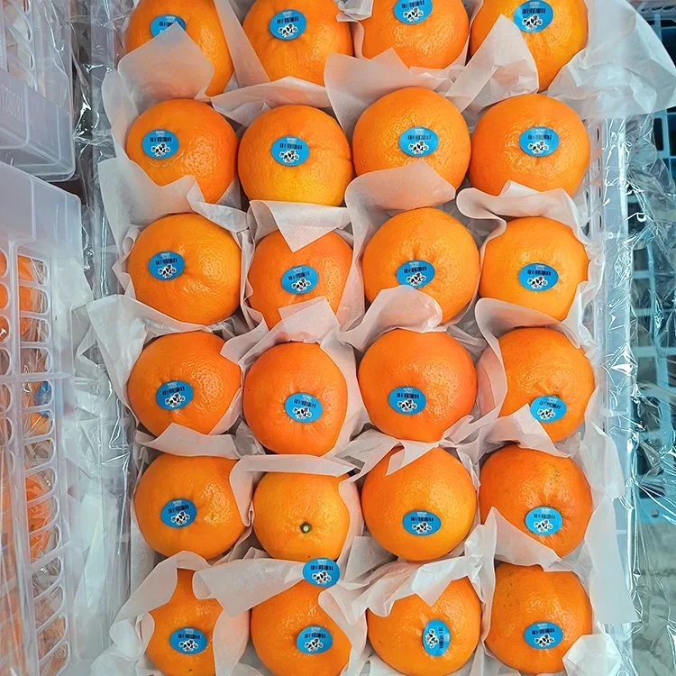 Mandarini Wogan dolci e freschi di prima qualità