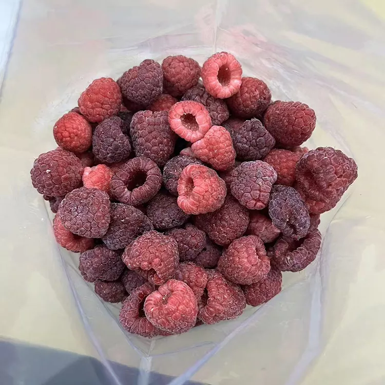 Lampone rosso intero congelato Premium IQF