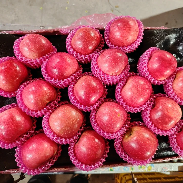 Mele Jiguan fresche di qualità superiore